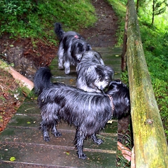 22 Urlaub 2011